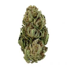 Tangie Candy CBD - Fleur
